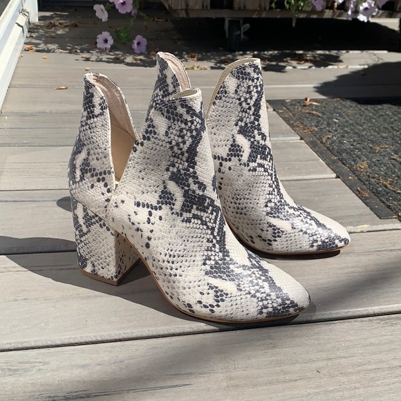 Steve madden snakeskin booties Clearance
